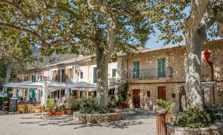 Ein charmantes Straßencafé mit Tischen und Sonnenschirmen im Schatten großer Bäume. Die Leute sitzen, genießen Essen und Getränke und lassen sich von *Essen gehen Mallorca* begeistern. Das Café liegt vor einer Kulisse aus rustikalen Gebäuden mit grünen Fensterläden und Balkonen. Die Szene ist sonnig und einladend.
