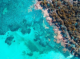 Luftaufnahme eines lebendigen Korallenriffs, eingebettet in klares, blaues Wasser, das während einer Segelreise eine Mischung aus tiefen Blau- und Aquatönen neben den felsigen Unterwasserformationen zeigt.