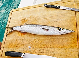 Frischer Fisch direkt am Hafen l sailwithus