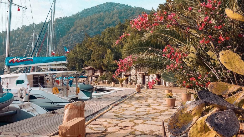 Ein malerischer Yachthafen mit einer festgemachten Segelyacht, ein gepflasterter Gehweg gesäumt von üppigem Grün und leuchtend roten Blumen unter einem klaren blauen Himmel.