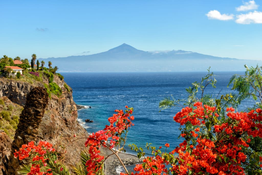 Eine malerische Aussicht auf eine Küstenklippe mit leuchtend roten Blumen im Vordergrund, mit Blick auf einen ruhigen Ozean mit einem majestätischen Berg in der Ferne unter einem klaren blauen Himmel, verstärkt durch den Anblick eines Segely