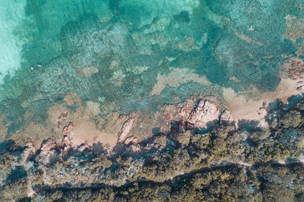Luftaufnahme einer felsigen Küste, die auf klares, türkisfarbenes Wasser mit sichtbaren Unterwasserstrukturen trifft und das lebhafte Meeresleben darunter erahnen lässt, perfekt für Segel- und Segelyacht-Abenteuer.