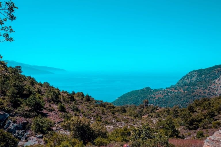 Eine malerische Aussicht mit üppigen grünen Hügeln im Vordergrund, die zu einem weiten, ruhigen blauen Meer unter klarem Himmel führen, perfekt für einen Segeltörn. Das Gelände ist mit dichten Bäumen und Vegetation übersät
