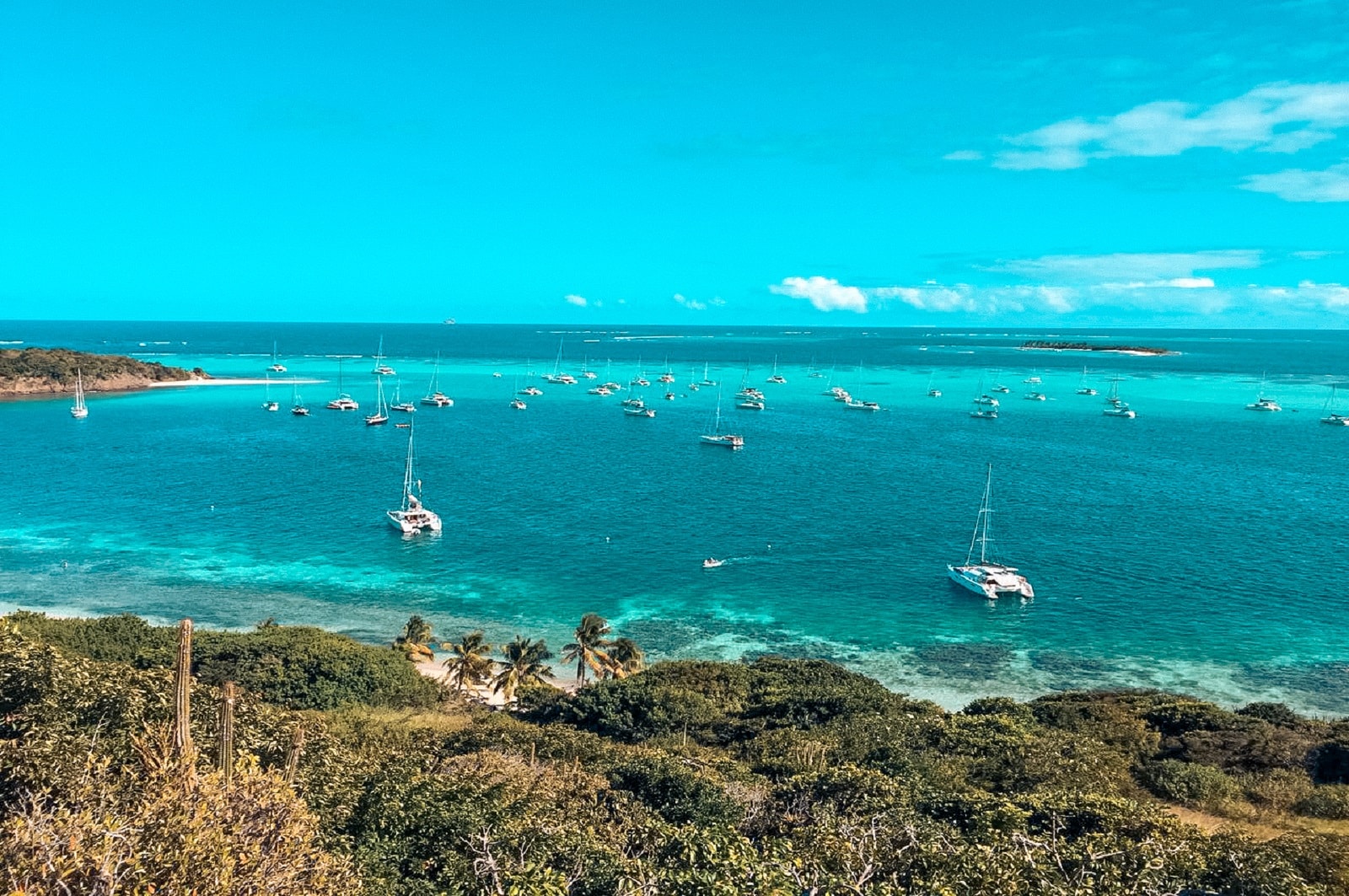 Luftaufnahme einer leuchtend türkisfarbenen Bucht mit zahlreichen Segelyachten, die nahe der üppig grünen Küste unter einem klaren blauen Himmel vor Anker liegen.