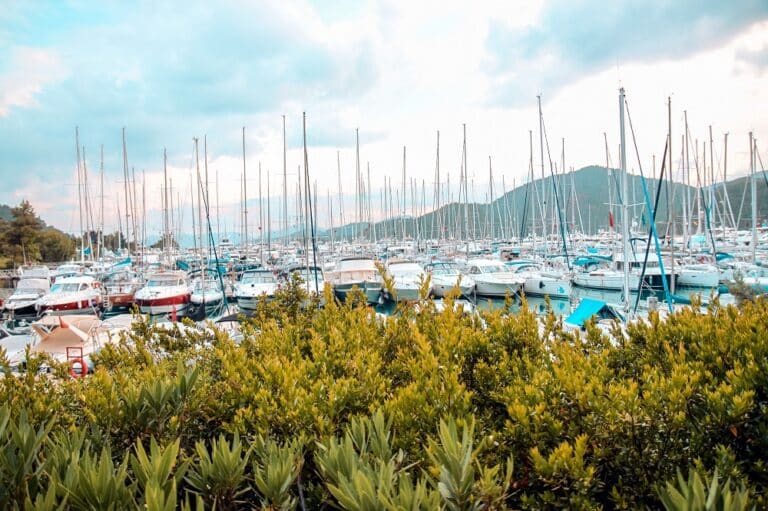 Ein malerischer Yachthafen voller verschiedener Boote, darunter auch Segelyachten, mit üppigem grünem Laub im Vordergrund und Bergen und einem bewölkten Himmel im Hintergrund.