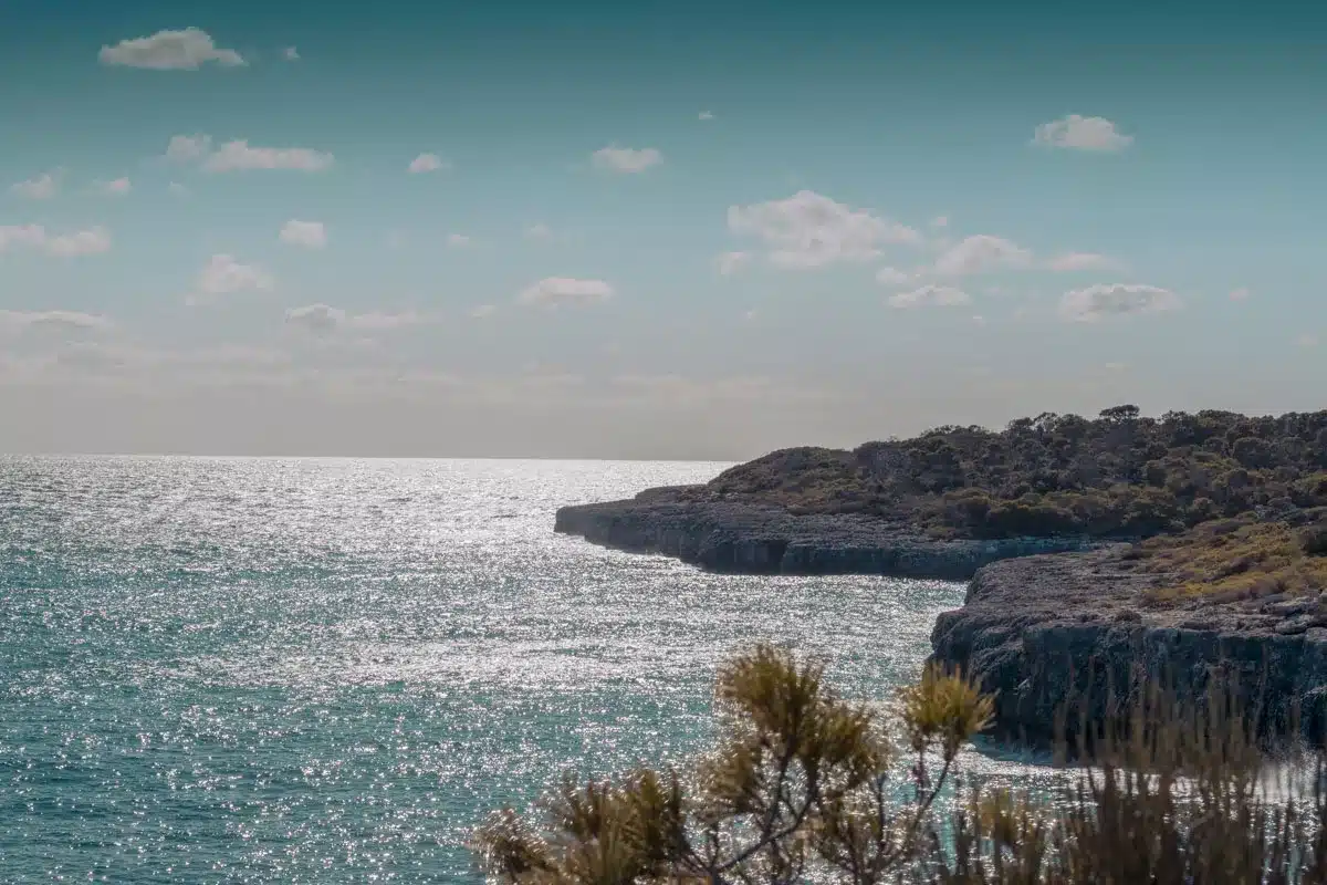 Eine ruhige Meereslandschaft mit Sonnenlicht, das sich während eines Segeltörns im Wasser spiegelt, eine felsige Küste mit üppigem Grün unter einem klaren Himmel.