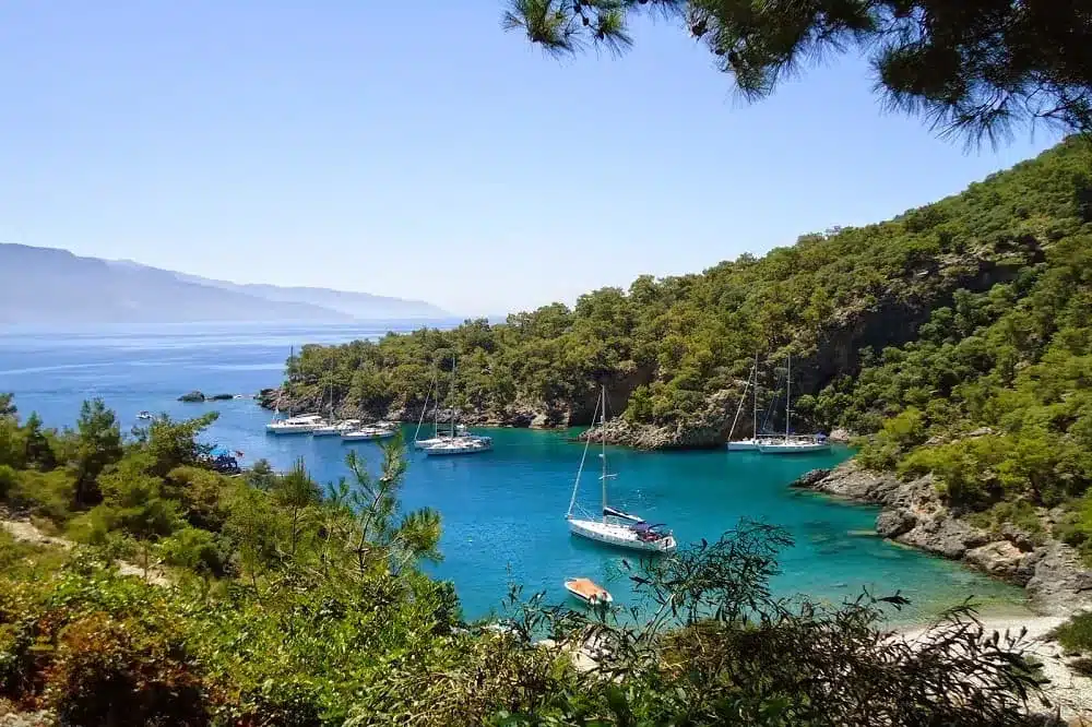 Eine ruhige Bucht mit türkisfarbenem Wasser, umgeben von üppigem Grün und Klippen. Mehrere Segelyachten liegen unter einem klaren blauen Himmel in Ufernähe vor Anker.