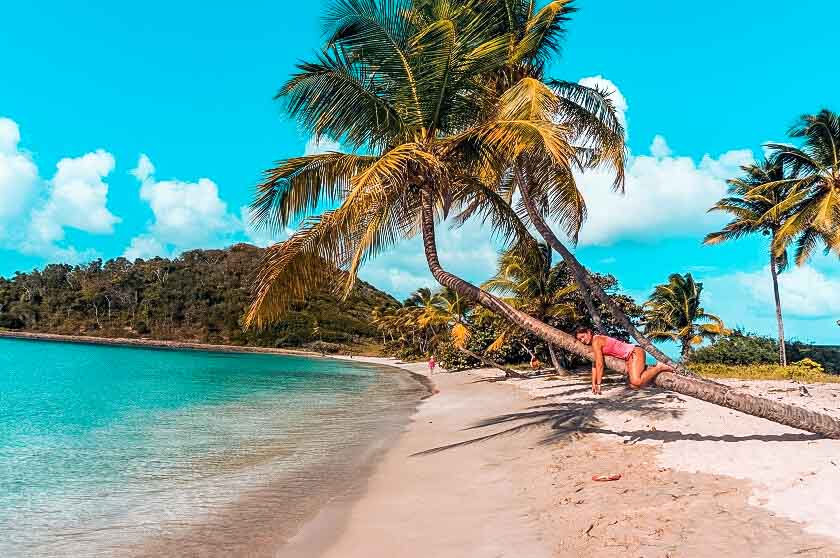 Eine Person entspannt auf einer Palme an einem ruhigen Sandstrand mit klarem blauen Wasser und strahlend sonnigem Himmel und beobachtet vorbeigleitende Segelboote.