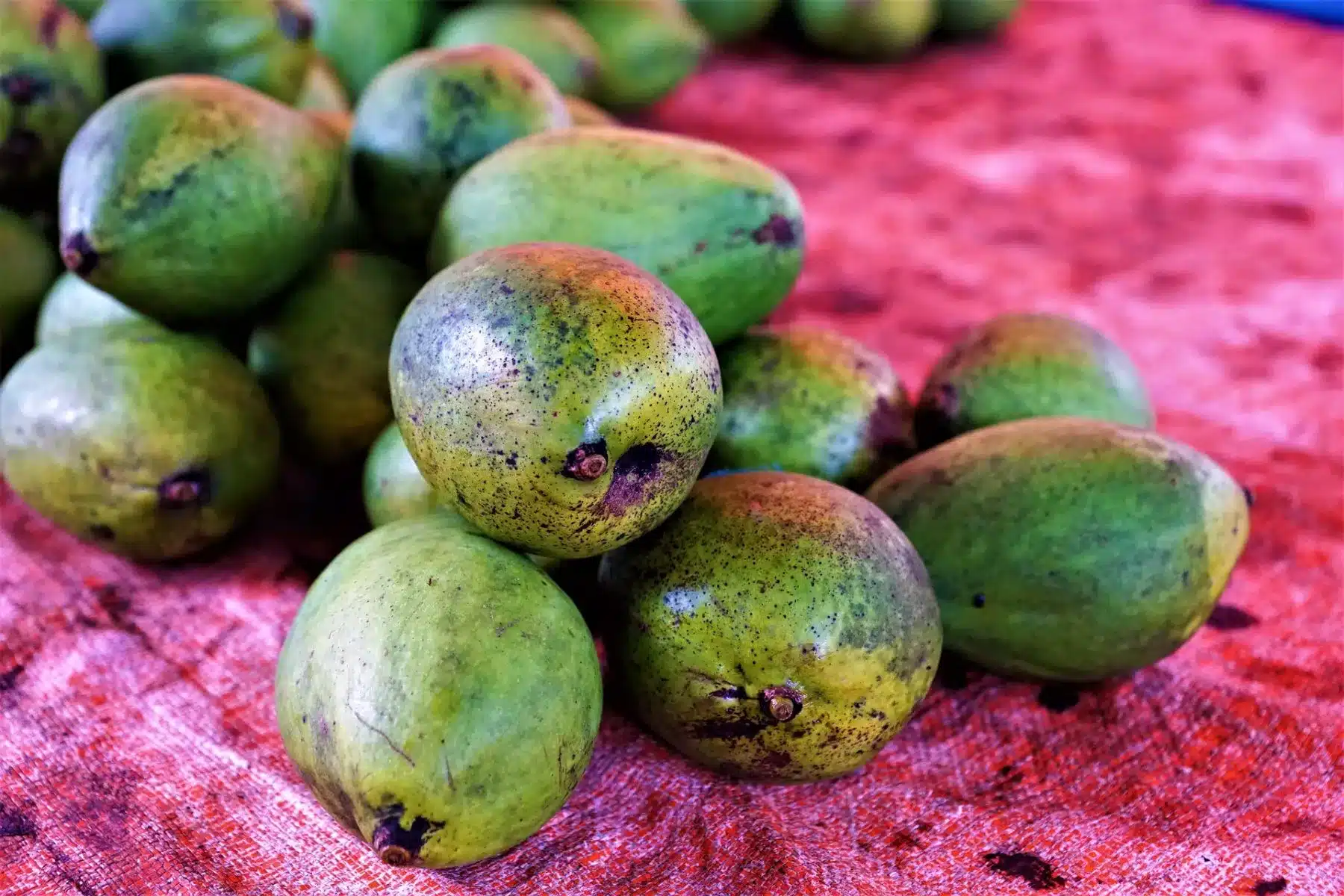 Ein Stapel frischer grüner Mangos mit einigen schwarzen Flecken, die während eines Segeltörns auf einem strukturierten roten Tuch ruhen.