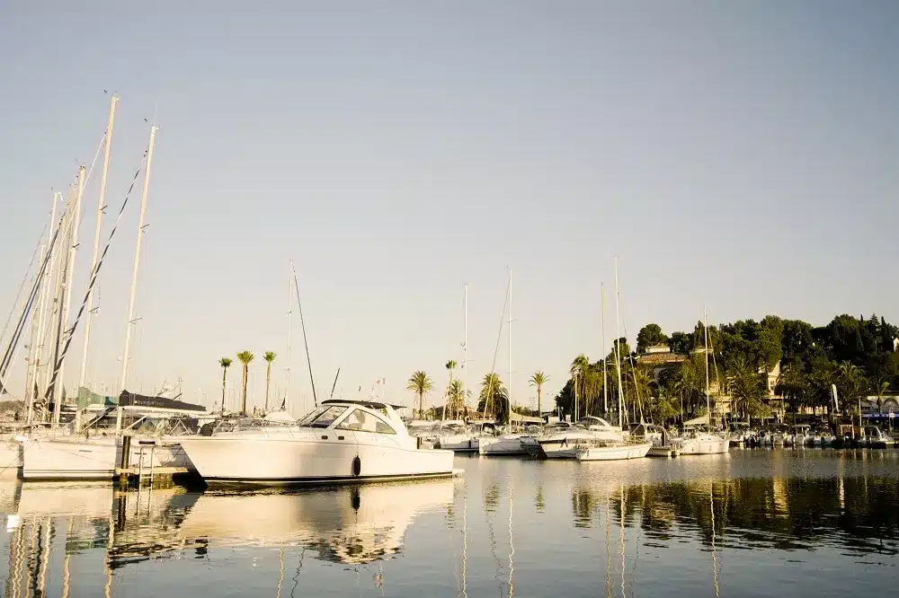 Ein ruhiger Yachthafen mit mehreren Segelyachten, die an einer ruhigen Uferpromenade vor Anker liegen, eingerahmt von Palmen und einem klaren Himmel, der sich in der Abenddämmerung im Wasser spiegelt.