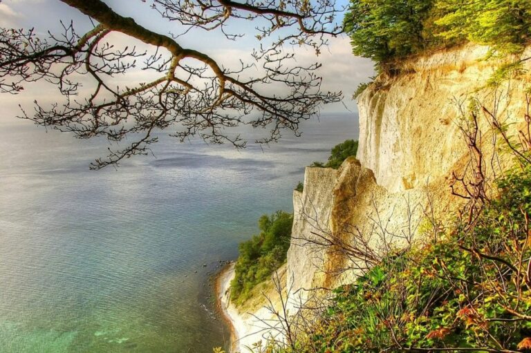 Eine malerische Aussicht auf weiße Kreidefelsen mit Blick auf ein ruhiges Meer. Die Klippen sind mit spärlichem Grün bedeckt, und ein Ast ragt von oben in den Rahmen hinein und verleiht ihm Tiefe. Darunter trifft ein schmaler Strandstreifen auf das türkisfarbene Wasser, an dem eine Segelyacht vorbeigleitet. Der Himmel ist größtenteils klar mit ein paar Wolken.