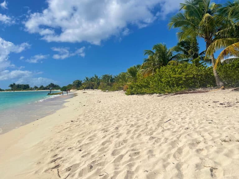 Ein ruhiger Strand mit weißem Sand, klarem türkisfarbenem Wasser und üppigen grünen Palmen unter einem strahlend blauen Himmel. Ein paar Menschen stehen in der Nähe des Wassers, am Horizont ist eine Segelyacht zu sehen.