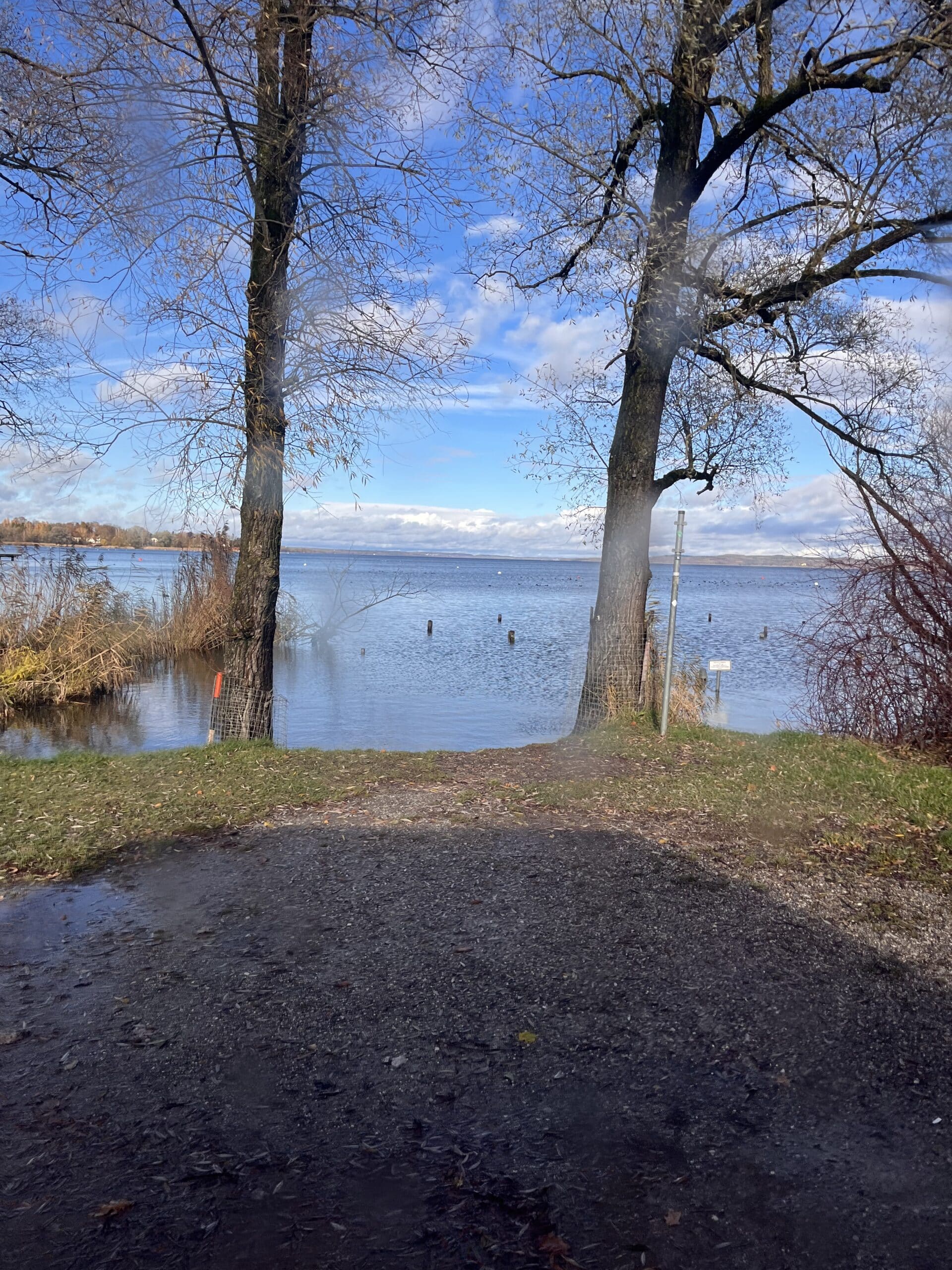 Ein ruhiger Blick auf den See mit kahlen Bäumen, die ein ruhiges Gewässer unter einem klaren Himmel mit sichtbaren Wolken und sanftem Sonnenlicht umrahmen. Ein Kiesweg führt zum Ufer, wo eine Segelyacht vor Anker liegt und bereit für einen abenteuerlichen Segeltörn ist.