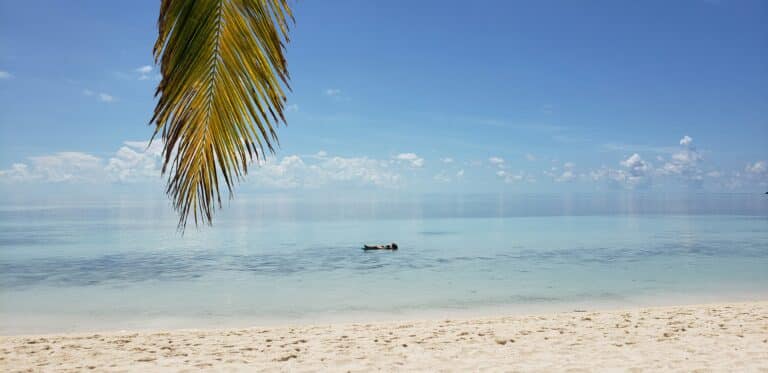 Eine ruhige Strandszene mit klarem blauen Himmel und ruhigem, türkisfarbenem Wasser. Ein einzelner Palmenzweig hängt in der oberen linken Ecke und eine Person schwimmt auf dem Rücken im ruhigen Wasser nahe dem Horizont. In der Nähe gleitet anmutig ein eleganter Katamaran aus einem Segelurlaub dahin. Weicher weißer Sand bedeckt den Strand im Vordergrund.