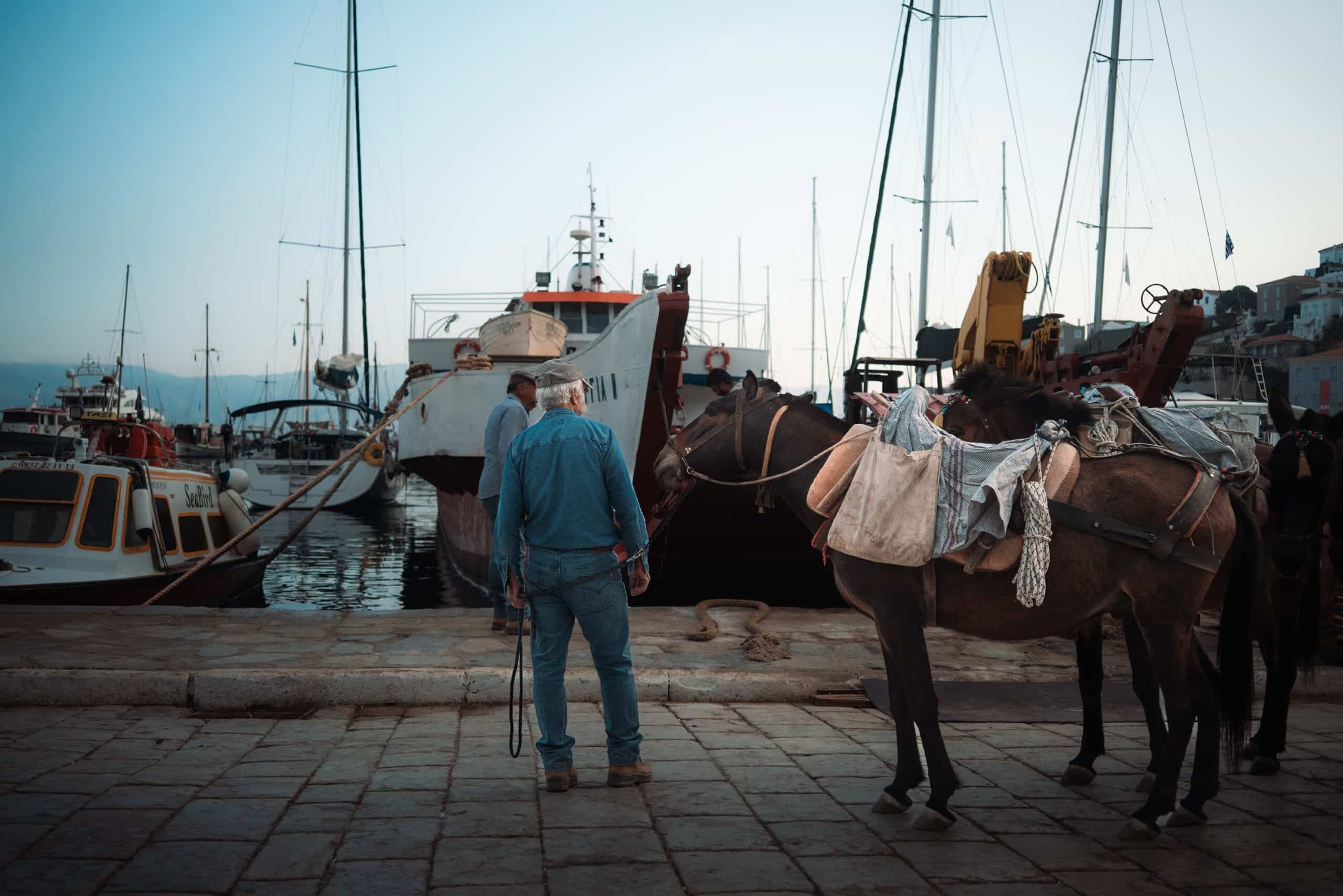 Eine Person in blauem Outfit mit breitkrempigem Hut steht neben zwei gesattelten Eseln in einem Hafen. Im Hintergrund liegen mehrere Boote, die sich möglicherweise auf einen Segelurlaub vorbereiten, vor Anker. Masten und Ausrüstung sind zu sehen. Der Himmel ist klar, was auf frühes Morgen- oder spätes Nachmittagslicht schließen lässt.