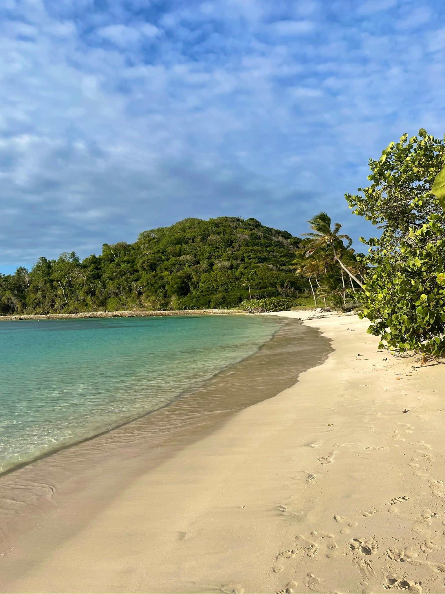 Ein unberührter Strand mit klarem, blauem Wasser und weichem, weißem Sand schlängelt sich sanft zu einem üppigen, grünen Hügel unter einem teilweise bewölkten Himmel. Palmen und andere Pflanzen säumen das Ufer und schaffen eine ruhige und malerische tropische Umgebung – perfekt für einen unvergesslichen Karibikurlaub auf Martinique.
