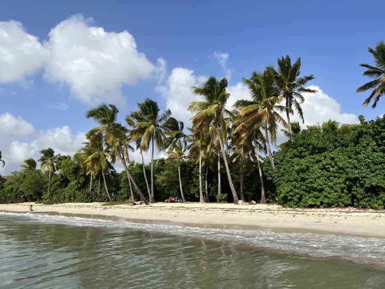 Karibisches Segelabenteuer: Eine Reise zu Piraten, Palmen und Painkiller