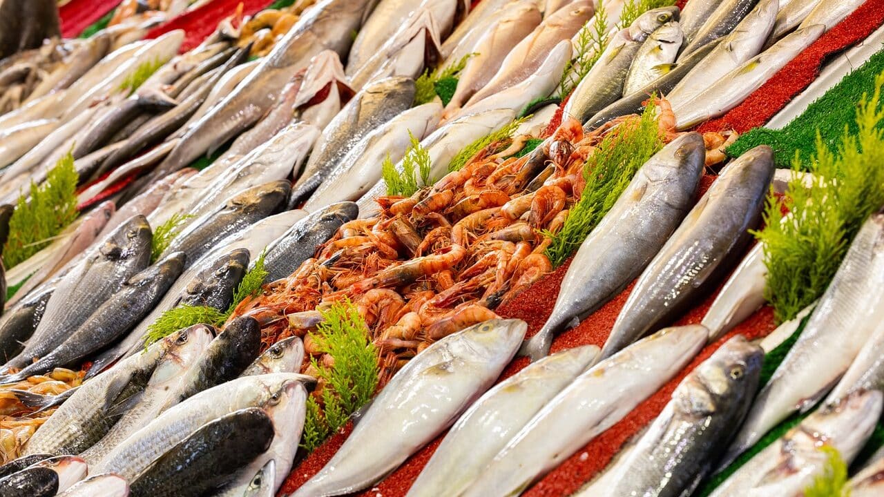 Frische Fische und Meeresfrüchte sind schön angerichtet auf einer roten decke mit pflanzen dazwischen.