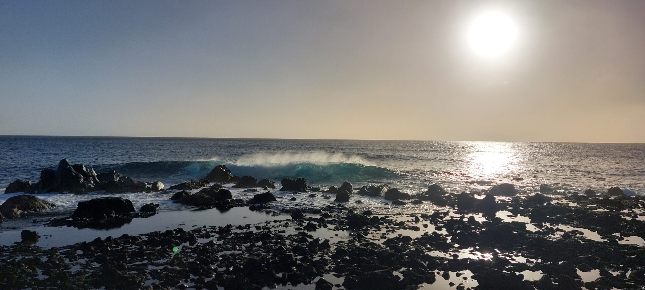 Youngline – Marina del Sur- Las Galletas (Tenerife) - Bild 5