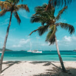 Youngline – Martinique - Bild 5
