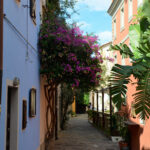 Youngline – Punta Ala/Piombino (Elba) - Bild 6