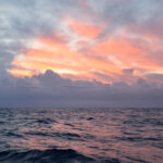 Youngline – Punta Ala/Piombino (Elba) - Bild 9