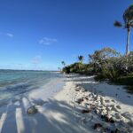 Youngline – Martinique - Bild 3