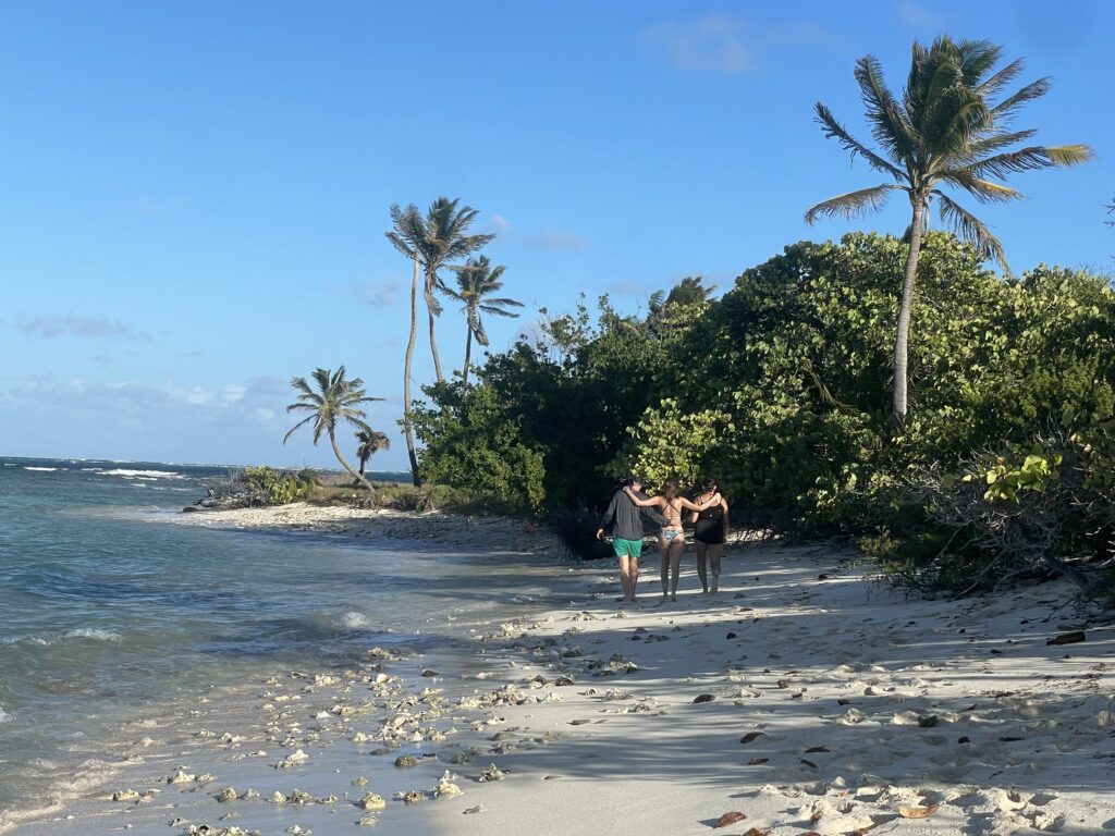 Environmentally conscious travel: Sailing tours that protect