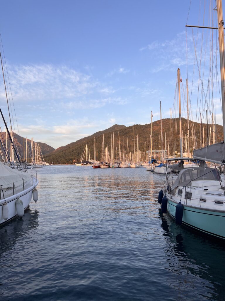 A sailing yacht in a pine-fringed turquoise bay of the Gulf of Gökova, Turkey