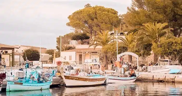 Eine friedliche Hafenszene mit einer Segelyacht und mehreren kleinen Fischerbooten, die an einem Dock vertäut sind, mit Gebäuden im mediterranen Stil und üppigen Bäumen im Hintergrund, getaucht in warmes, goldenes Licht.