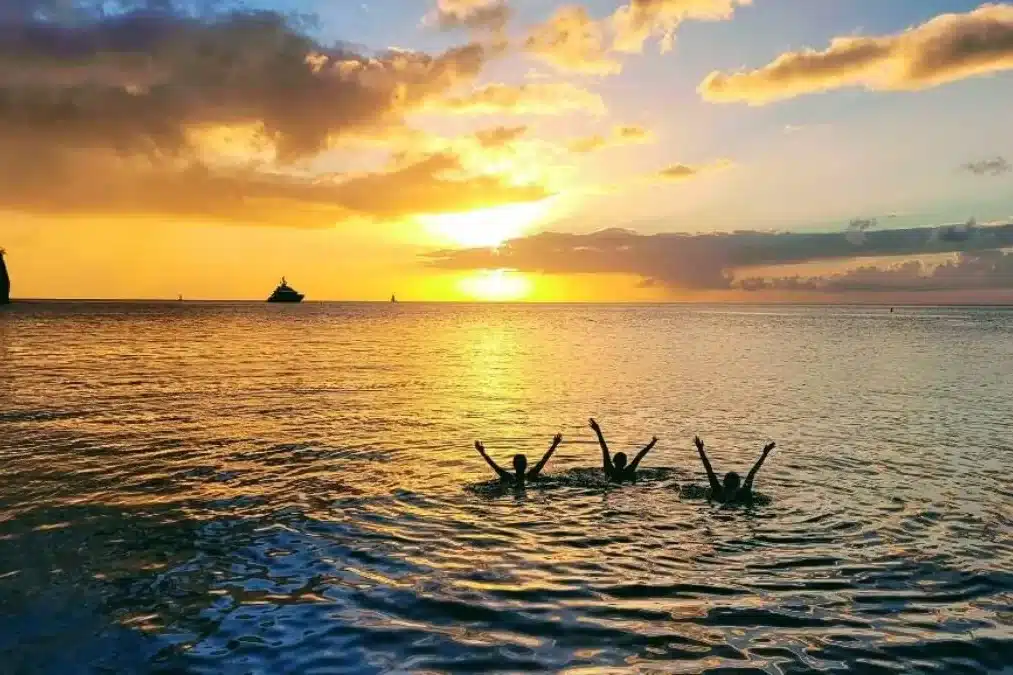 Ein leuchtender Sonnenuntergang über einem ruhigen Ozean, mit den Silhouetten eines Schiffs in der Ferne und aus dem Wasser ragenden Ästen, unter einem hellen Himmel mit vereinzelten Wolken während eines Segeltörns.