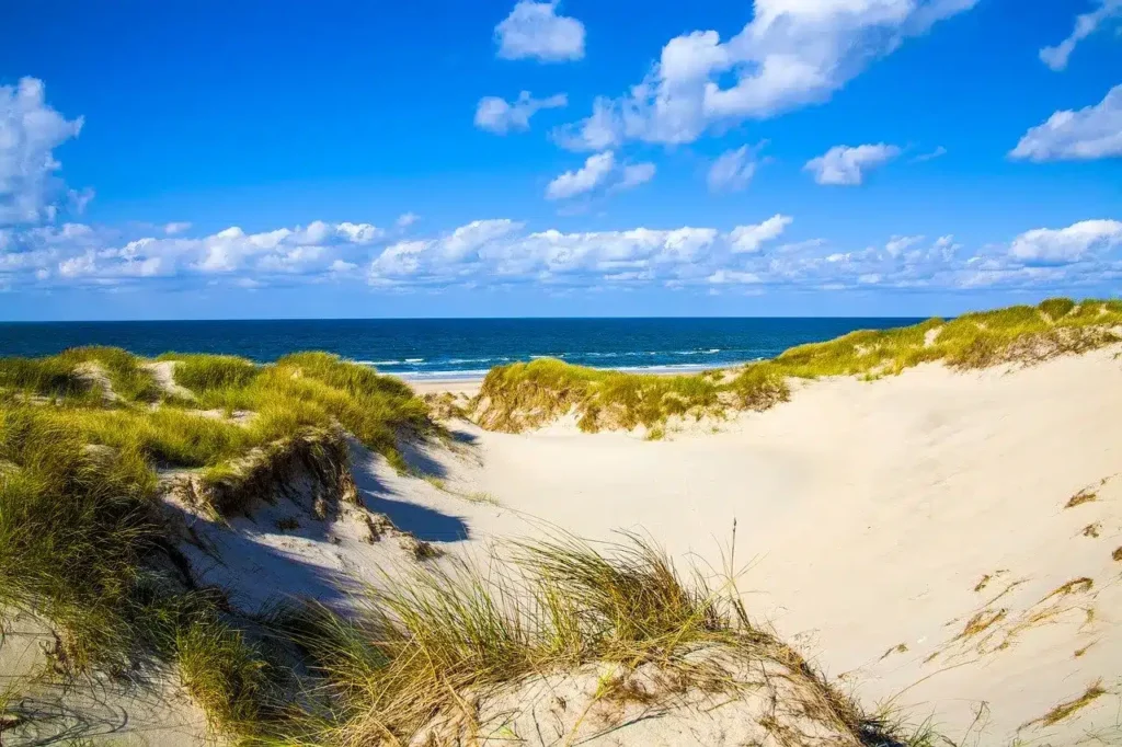 Sandiger Pfad durch üppiges Dünengras, der zu einem ruhigen Strand unter einem strahlend blauen Himmel mit vereinzelten Wolken führt, perfekt für einen Segeltörn.